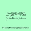 Pantha du Prince - Liquid Lights (Deakin of Animal Collective Remix) - Single